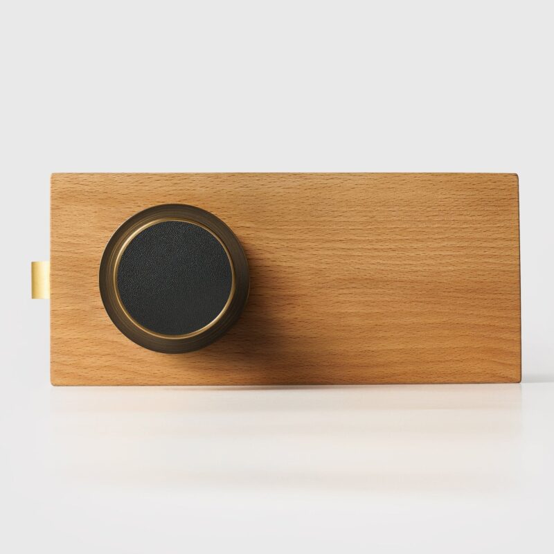 FERN Bouton de porte en laiton massif et cuir - Laiton antique