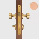 FERN Bouton de porte en laiton massif et cuir - Laiton satiné