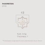 TESTA Solid Brass Star Backplate