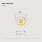 TESTA Solid Brass Star Backplate