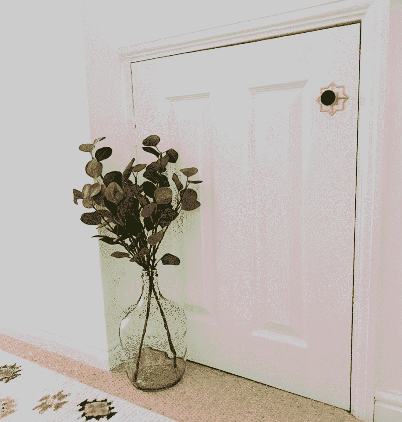 TESTA Solid Brass Star Backplate