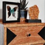 TESTA Solid Brass Acrylic & Shell Knobs