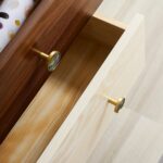 TESTA Solid Brass Acrylic & Shell Knobs