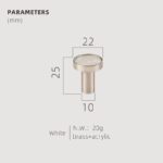 TESTA Solid Brass Acrylic & Shell Knobs