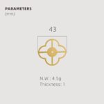 TESTA Solid Brass Acrylic & Shell Knobs