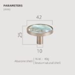 TESTA Solid Brass Acrylic & Shell Knobs