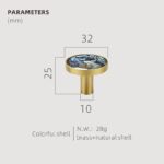 TESTA Solid Brass Acrylic & Shell Knobs