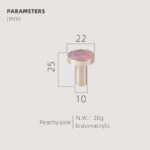 TESTA Solid Brass Acrylic & Shell Knobs